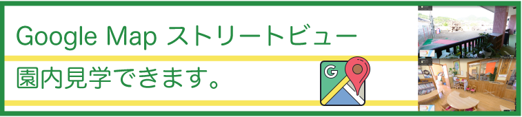 ストリートビュー